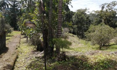 TERRENO EN VENTA EN SHELL. PASTAZA.