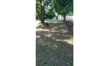 VENDO LOTE DE TERRENO-CAS 5000 MTS AV.PRINCIPAL PEDREGAL NEGOCIABLE