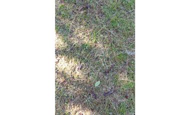 VENDO LOTE DE TERRENO-CAS 5000 MTS AV.PRINCIPAL PEDREGAL NEGOCIABLE