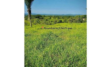 VENTA DE FINCA EN GUALACA  5 HECTAREAS