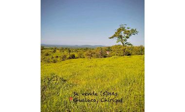 VENTA DE FINCA EN GUALACA  5 HECTAREAS