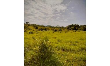 VENTA DE FINCA EN GUALACA  5 HECTAREAS