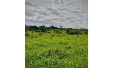 VENTA DE FINCA EN GUALACA  5 HECTAREAS