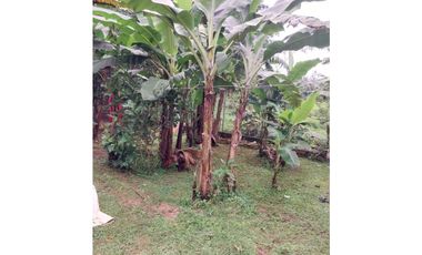 VENTA DE CASA EN DAVID LAS LOMAS 662 METROS