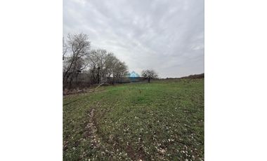 VENTA – CAMPO GANADERO – TODOS LOS SANTOS (Colonia Hogar)