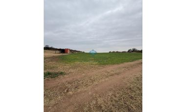 VENTA – CAMPO GANADERO – TODOS LOS SANTOS (Colonia Hogar)