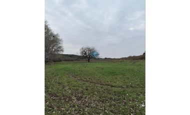 VENTA – CAMPO GANADERO – TODOS LOS SANTOS (Colonia Hogar)