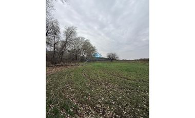 VENTA – CAMPO GANADERO – TODOS LOS SANTOS (Colonia Hogar)