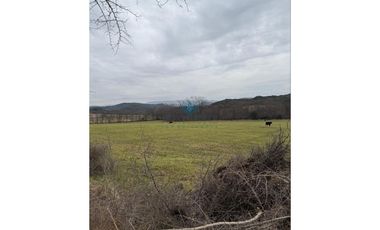 VENTA – CAMPO GANADERO – TODOS LOS SANTOS (Colonia Hogar)