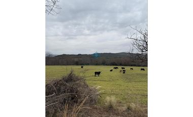 VENTA – CAMPO GANADERO – TODOS LOS SANTOS (Colonia Hogar)