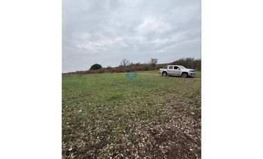 VENTA – CAMPO GANADERO – TODOS LOS SANTOS (Colonia Hogar)