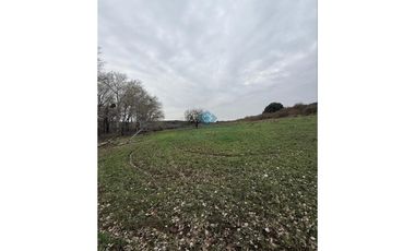 VENTA – CAMPO GANADERO – TODOS LOS SANTOS (Colonia Hogar)