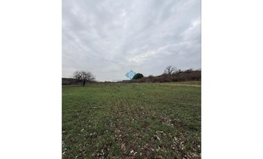 VENTA – CAMPO GANADERO – TODOS LOS SANTOS (Colonia Hogar)