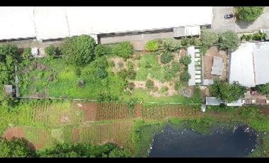 Tanah dijual di jalan perkutut Legok dekat gading serpong