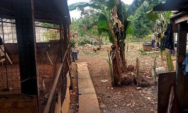 Tanah dijual di jalan perkutut Legok dekat gading serpong