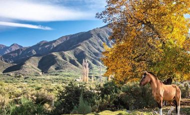 Lote en Venta en La Crucesita