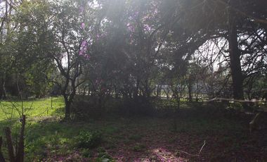 VENTA TERRENO-JOSE C PAZ