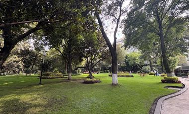 Departamento Amueblado en Renta – 250 m² – 2 Recámaras – Amenidades de Lujo