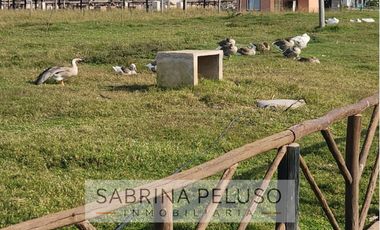 Terreno en General Rodriguez