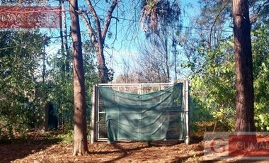 Alquiler de junio a diciembre  , a mts de Barrio San matias y Canton , entorno increible gran parque , amoblada,  fogon deck  s/ lote de 1500 m2