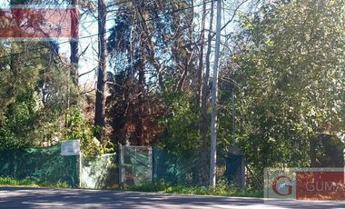 Alquiler de junio a diciembre  , a mts de Barrio San matias y Canton , entorno increible gran parque , amoblada,  fogon deck  s/ lote de 1500 m2