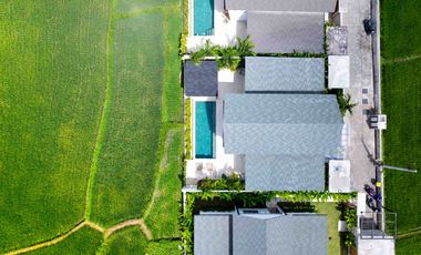 Charming 2-Bedroom Villa with Ricefield Views in Kaba-Kaba