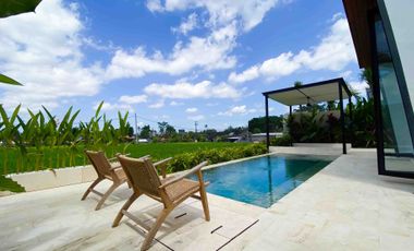 Charming 2-Bedroom Villa with Ricefield Views in Kaba-Kaba