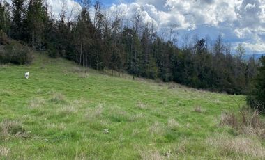 VENTA TERRENO - SITIO 245000MTS Villarrica