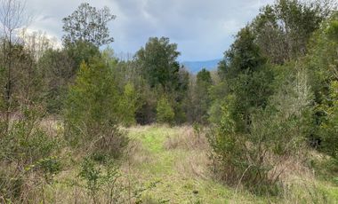 VENTA TERRENO - SITIO 245000MTS Villarrica