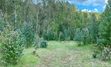 VENTA TERRENO - SITIO 245000MTS Villarrica
