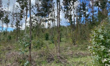 VENTA TERRENO - SITIO 245000MTS Villarrica