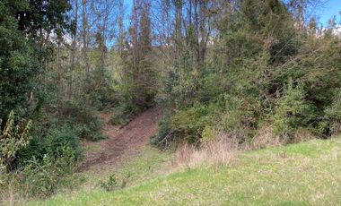VENTA TERRENO - SITIO 245000MTS Villarrica