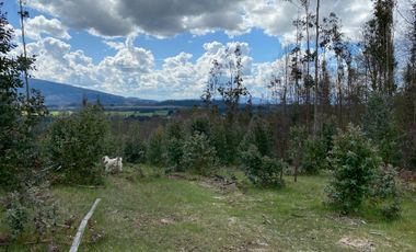 VENTA TERRENO - SITIO 245000MTS Villarrica