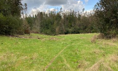 VENTA TERRENO - SITIO 245000MTS Villarrica