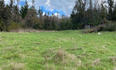 VENTA TERRENO - SITIO 245000MTS Villarrica