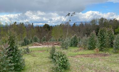 VENTA TERRENO - SITIO 245000MTS Villarrica