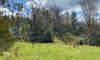 VENTA TERRENO - SITIO 245000MTS Villarrica