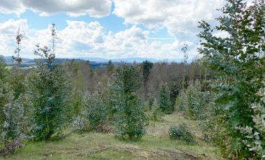VENTA TERRENO - SITIO 245000MTS Villarrica