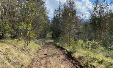 VENTA TERRENO - SITIO 245000MTS Villarrica
