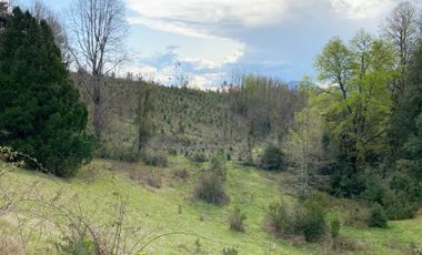 VENTA TERRENO - SITIO 245000MTS Villarrica