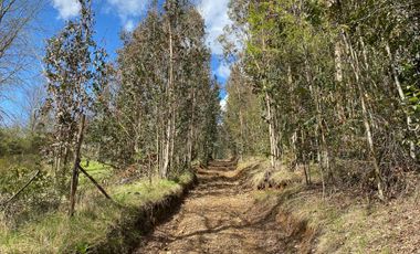 VENTA TERRENO - SITIO 245000MTS Villarrica