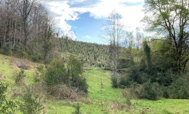 VENTA TERRENO - SITIO 245000MTS Villarrica