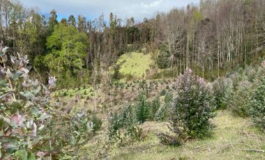 VENTA TERRENO - SITIO 245000MTS Villarrica
