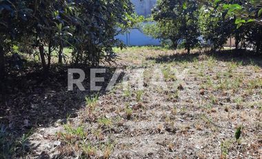 VENTA DE TERRENO, SAN MIGUEL ETLA, SAN JUAN BAUTISTA GUELACHE.  - (3)