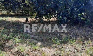 VENTA DE TERRENO, SAN MIGUEL ETLA, SAN JUAN BAUTISTA GUELACHE.  - (3)