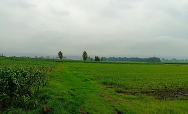 MACRO-LOTE EN VENTA, ALMOLOYA DE JUÁREZ CENTRO