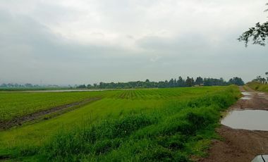 MACRO-LOTE EN VENTA, ALMOLOYA DE JUÁREZ CENTRO