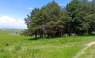 MACRO-LOTE EN VENTA, ALMOLOYA DE JUÁREZ CENTRO