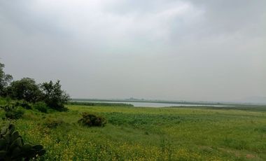 MACRO-LOTE EN VENTA, ALMOLOYA DE JUÁREZ CENTRO