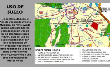 MACRO-LOTE EN VENTA, ALMOLOYA DE JUÁREZ CENTRO